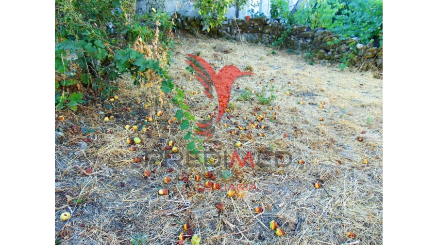 Moradia T3 para Venda em Nossa Senhora da Conceição, São Pedro e São Dinis Foto 16