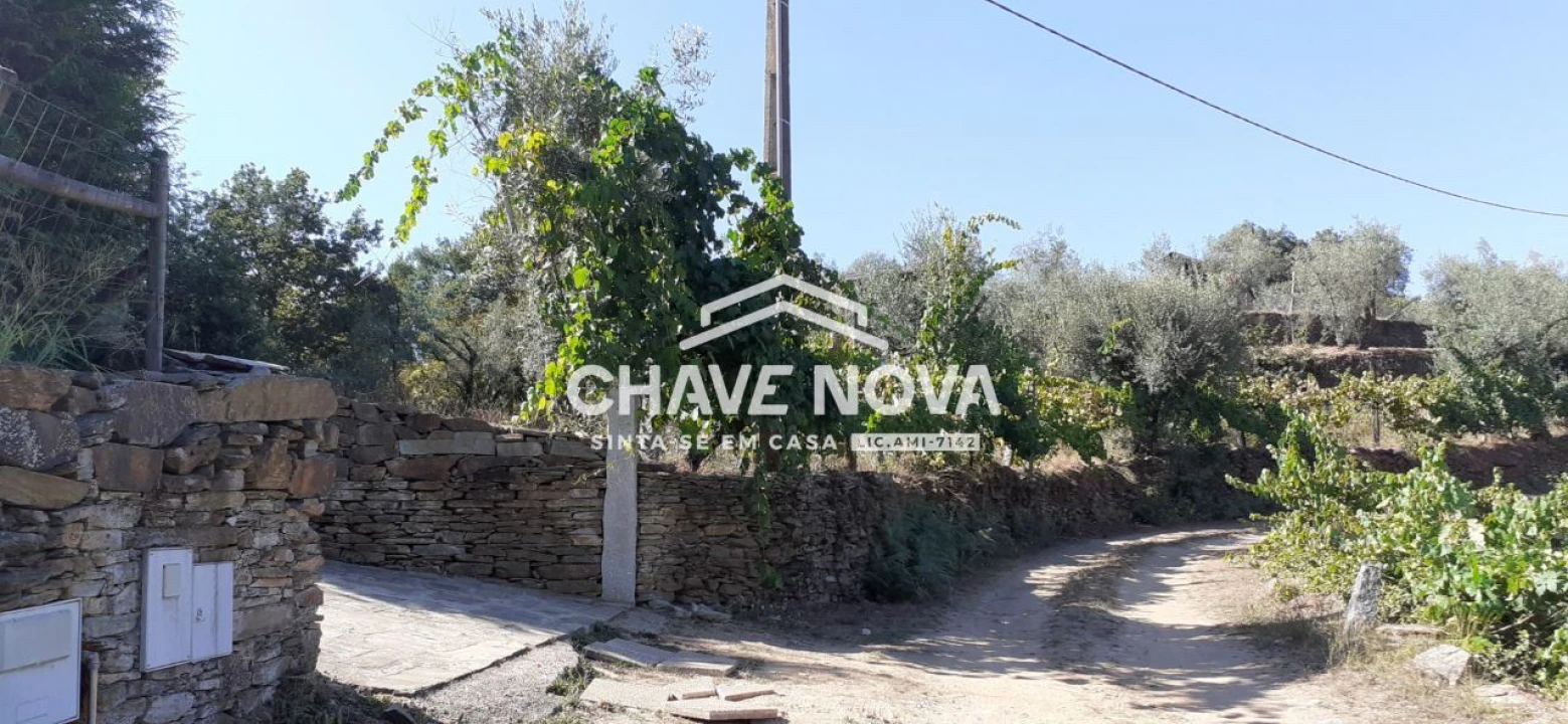 Terreno para Venda em Fornos Foto 2