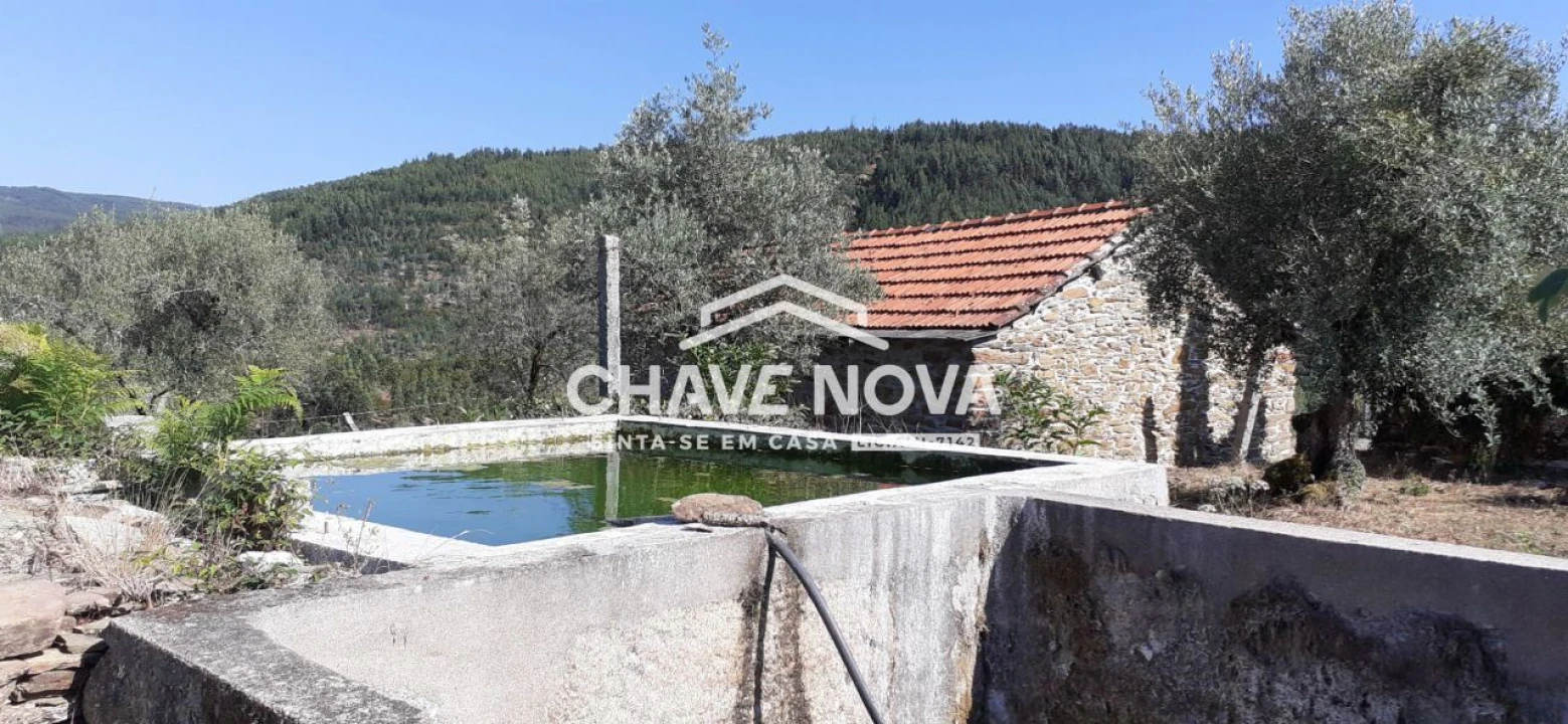 Terreno para Venda em Fornos Foto 6