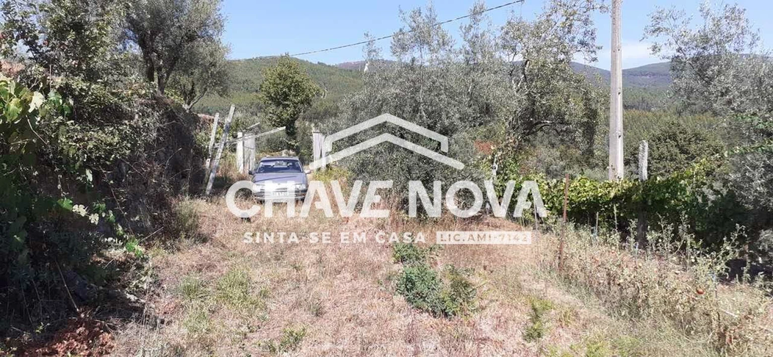 Terreno para Venda em Fornos Foto 19