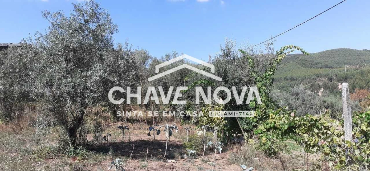 Terreno para Venda em Fornos Foto 20