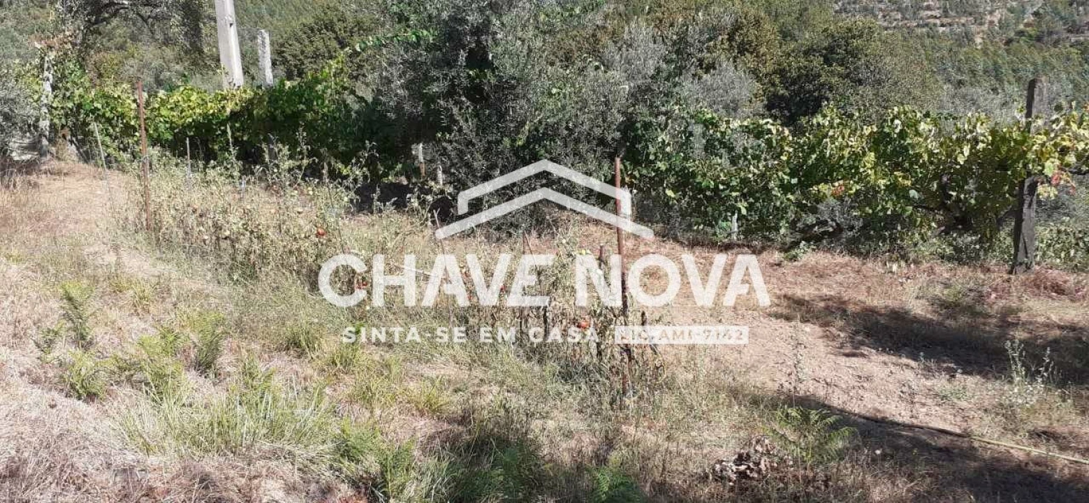 Terreno para Venda em Fornos Foto 23