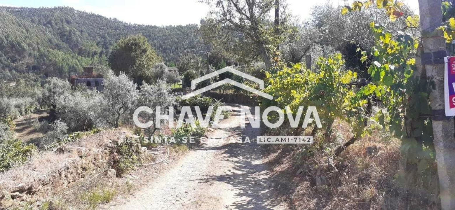 Terreno para Venda em Fornos Foto 24