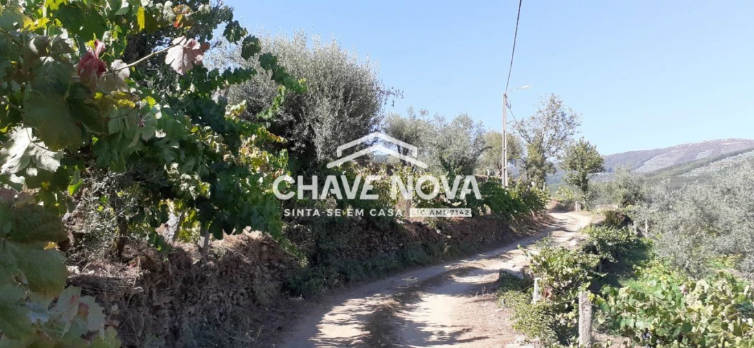 Terreno para Venda em Fornos Foto 1