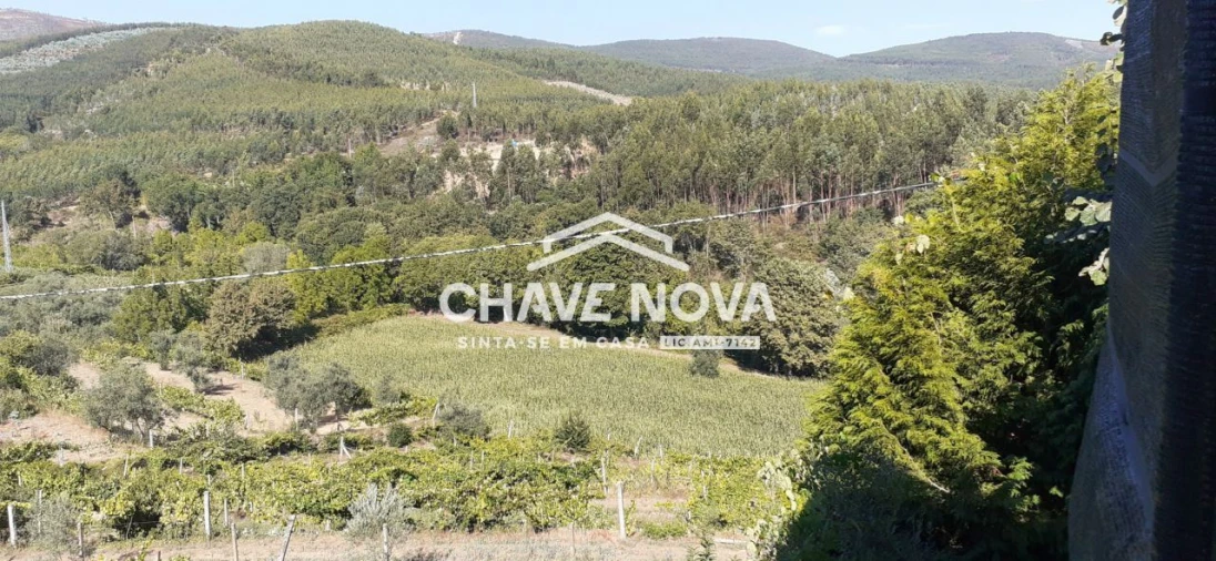 Terreno para Venda em Fornos Foto 8