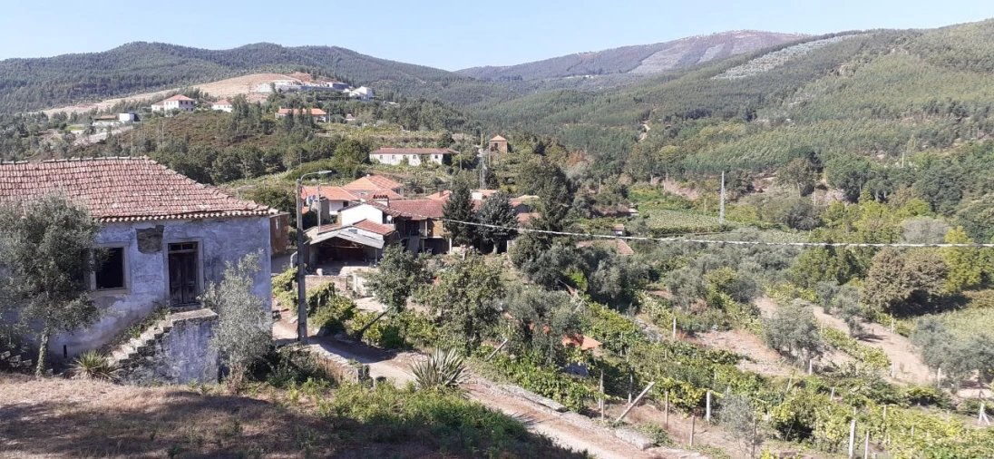 Terreno para Venda em Fornos Foto 9
