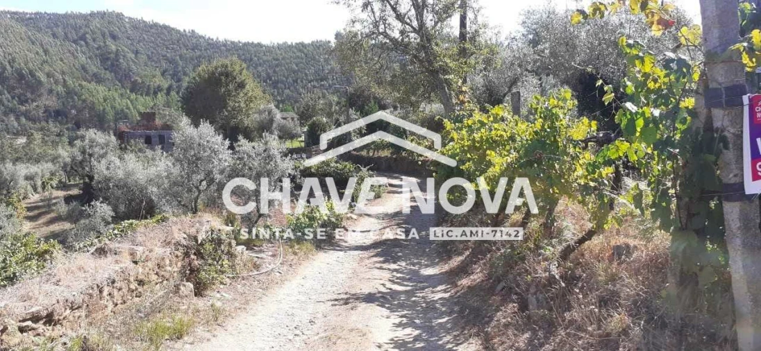 Terreno para Venda em Fornos Foto 24