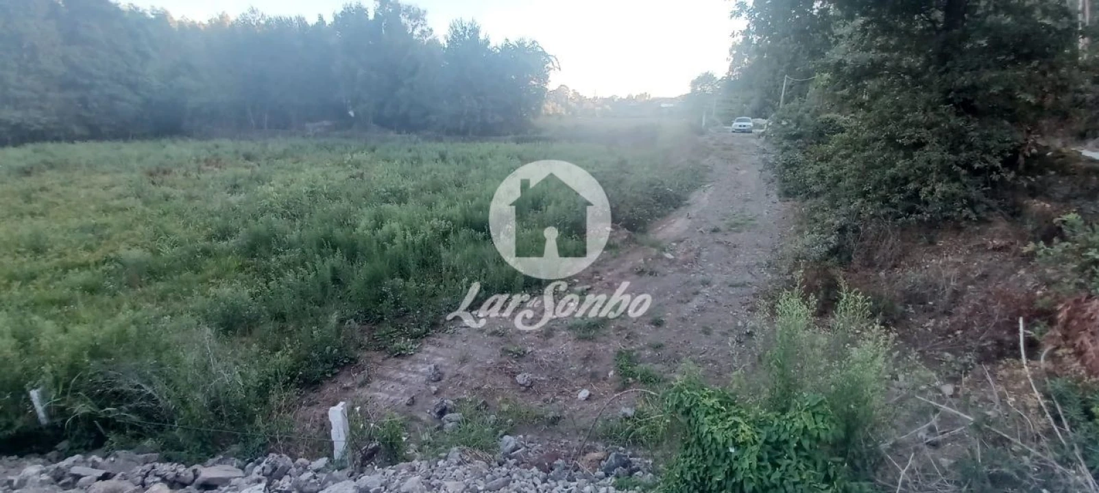 Terreno Agricola ou Rústico para Venda em Ribeirão Foto 2