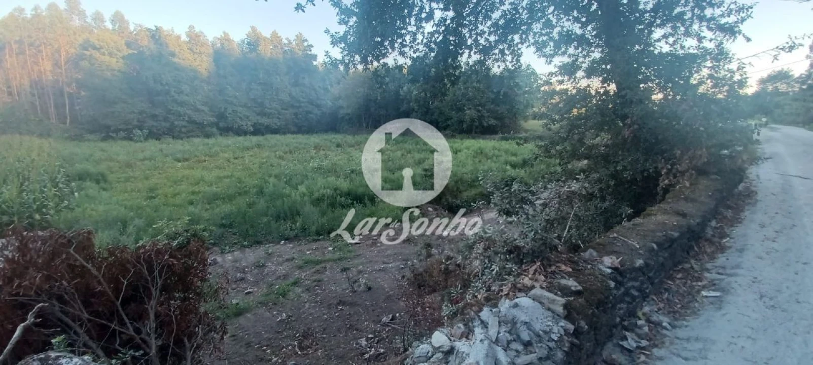 Terreno Agricola ou Rústico para Venda em Ribeirão Foto 4