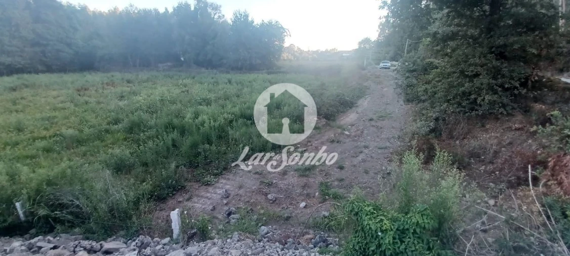 Terreno Agricola ou Rústico para Venda em Ribeirão Foto 2