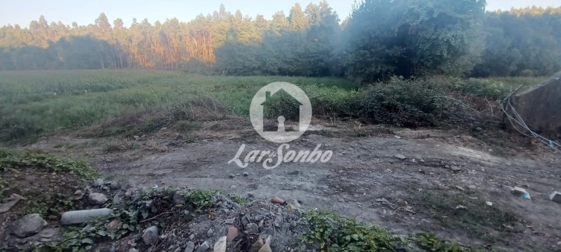 Terreno Agricola ou Rústico para Venda em Ribeirão Foto 5