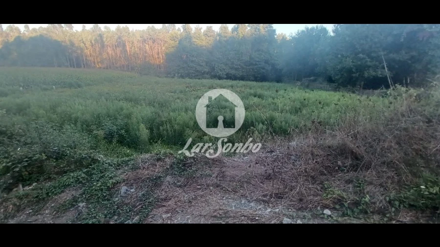Terreno Agricola ou Rústico para Venda em Ribeirão