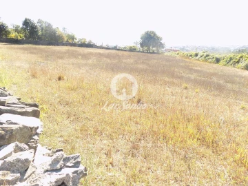 Terreno para Venda em Ribeirão