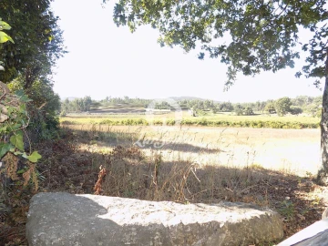 Terreno para Venda em Ribeirão