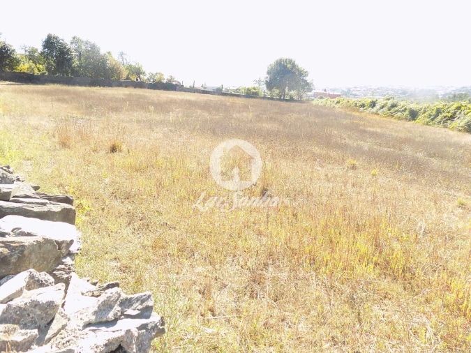 Terreno para Venda em Ribeirão Foto 3