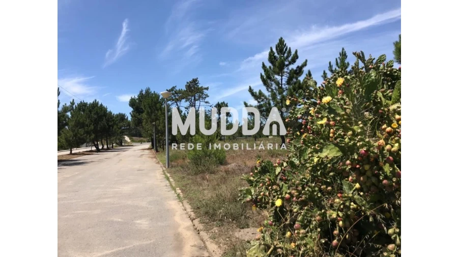 Terreno para Venda em Torreira Foto 2