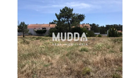 Terreno para Venda em Torreira