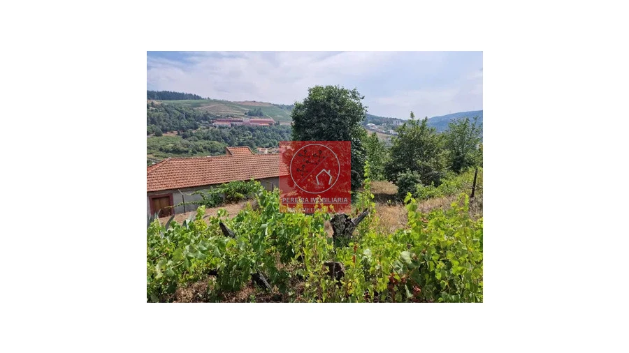 Quinta T2 para Venda em Cepões, Meijinhos e Melcões Foto 5