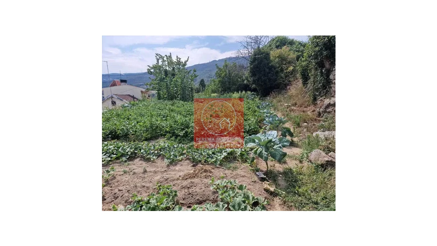 Quinta T2 para Venda em Cepões, Meijinhos e Melcões Foto 8