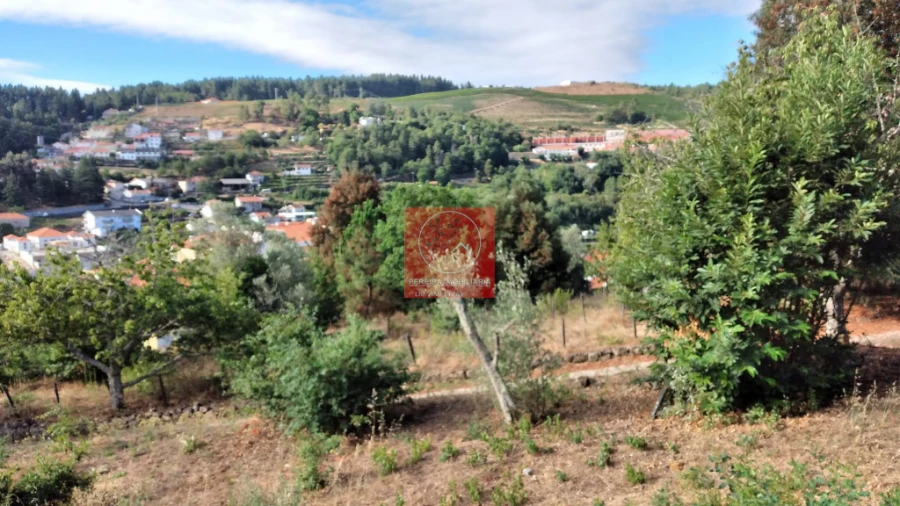 Quinta T2 para Venda em Cepões, Meijinhos e Melcões Foto 10