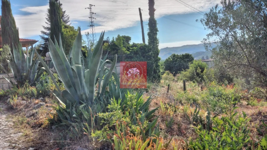 Quinta T2 para Venda em Cepões, Meijinhos e Melcões Foto 16