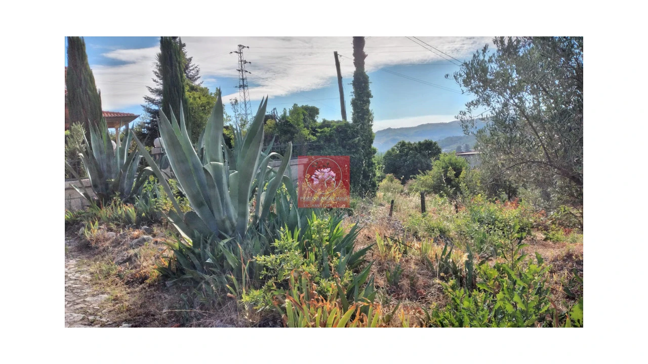Quinta T2 para Venda em Cepões, Meijinhos e Melcões Foto 16
