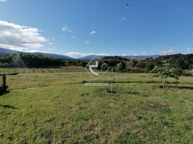 Terreno para Venda em Mazedo e Cortes Foto 2