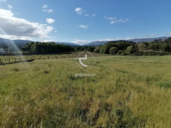 Terreno para Venda em Mazedo e Cortes Foto 3