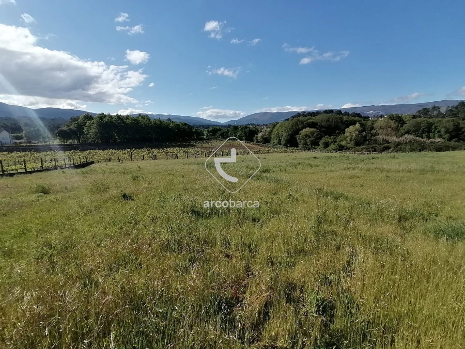 Terreno para Venda em Mazedo e Cortes Foto 3