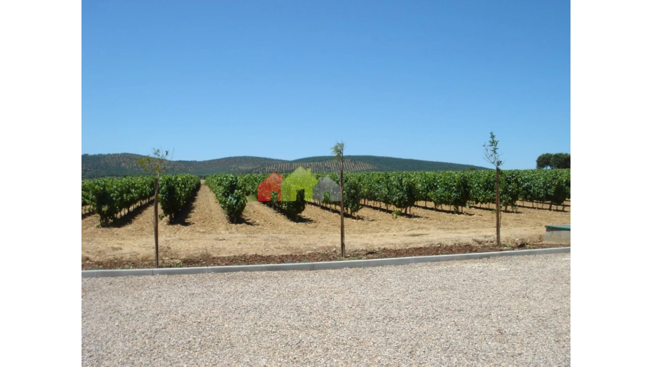Terreno para Venda em São Lourenço de Mamporcão e São Bento de Ana Loura Foto 1