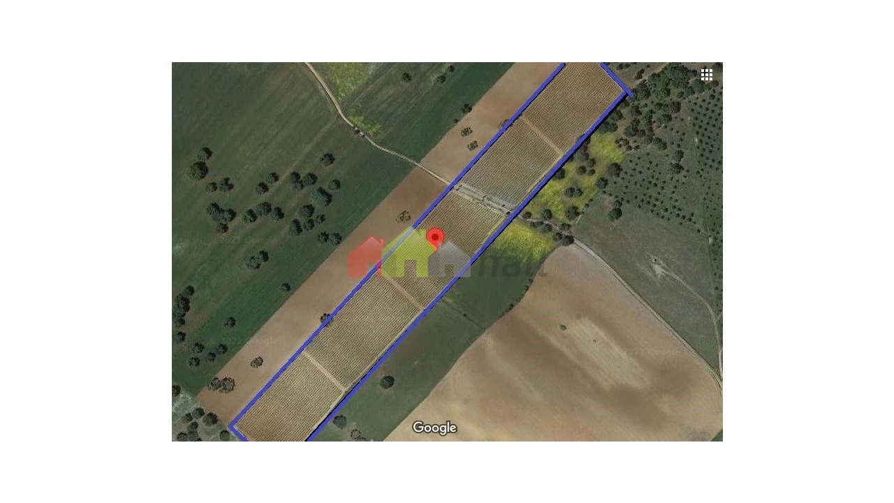 Terreno para Venda em São Lourenço de Mamporcão e São Bento de Ana Loura Foto 3