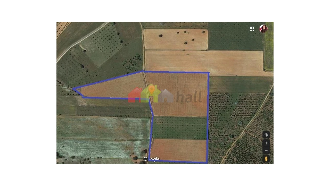 Terreno para Venda em São Lourenço de Mamporcão e São Bento de Ana Loura Foto 5