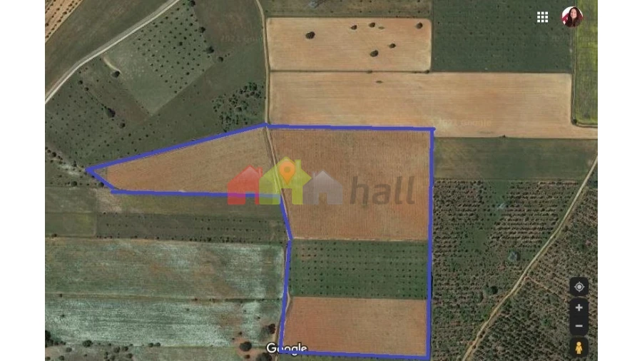 Terreno para Venda em São Lourenço de Mamporcão e São Bento de Ana Loura Foto 5