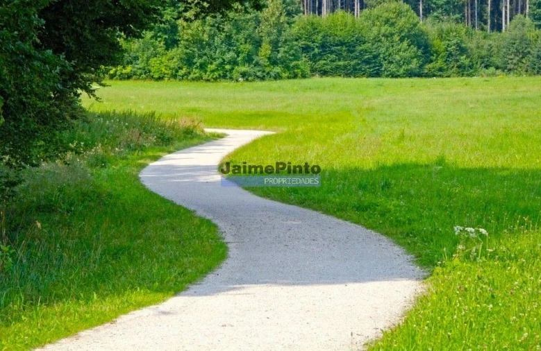 Terreno Agricola ou Rústico para Venda em Loures Foto 1