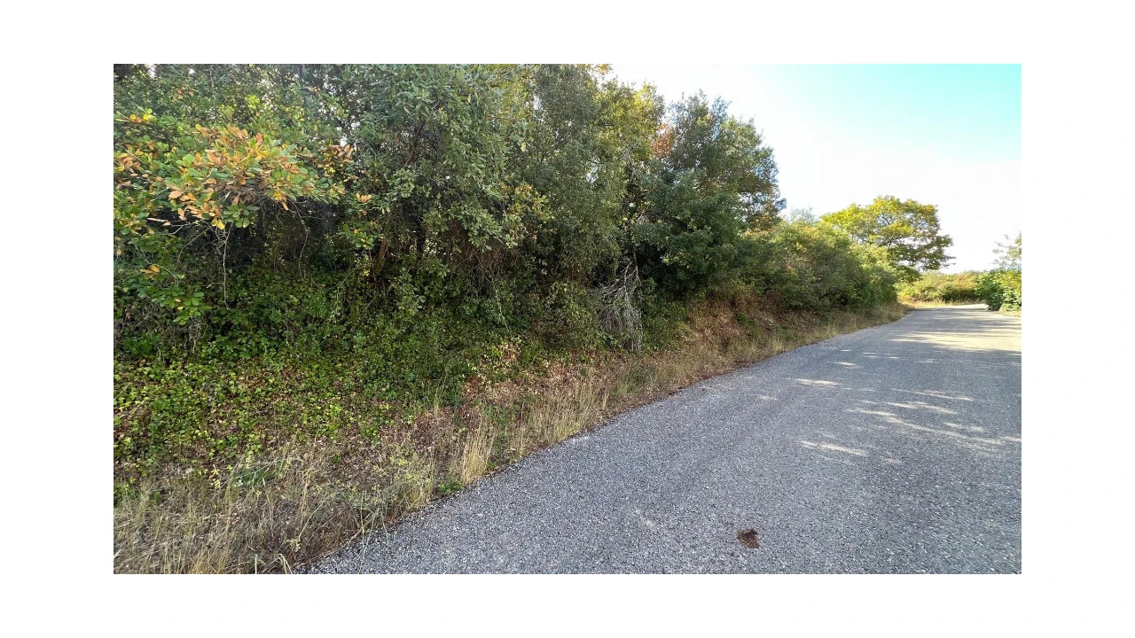 Terreno para Venda em Cernache Foto 2