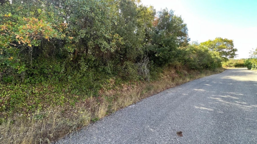 Terreno para Venda em Cernache Foto 2