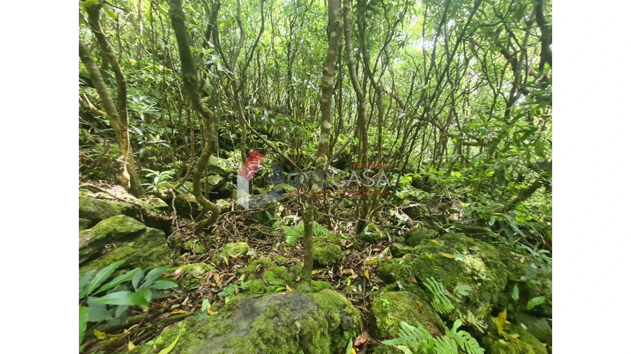 Terreno para Venda em Biscoitos Foto 3