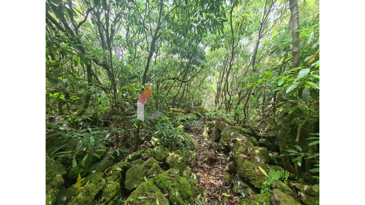 Terreno para Venda em Biscoitos Foto 4