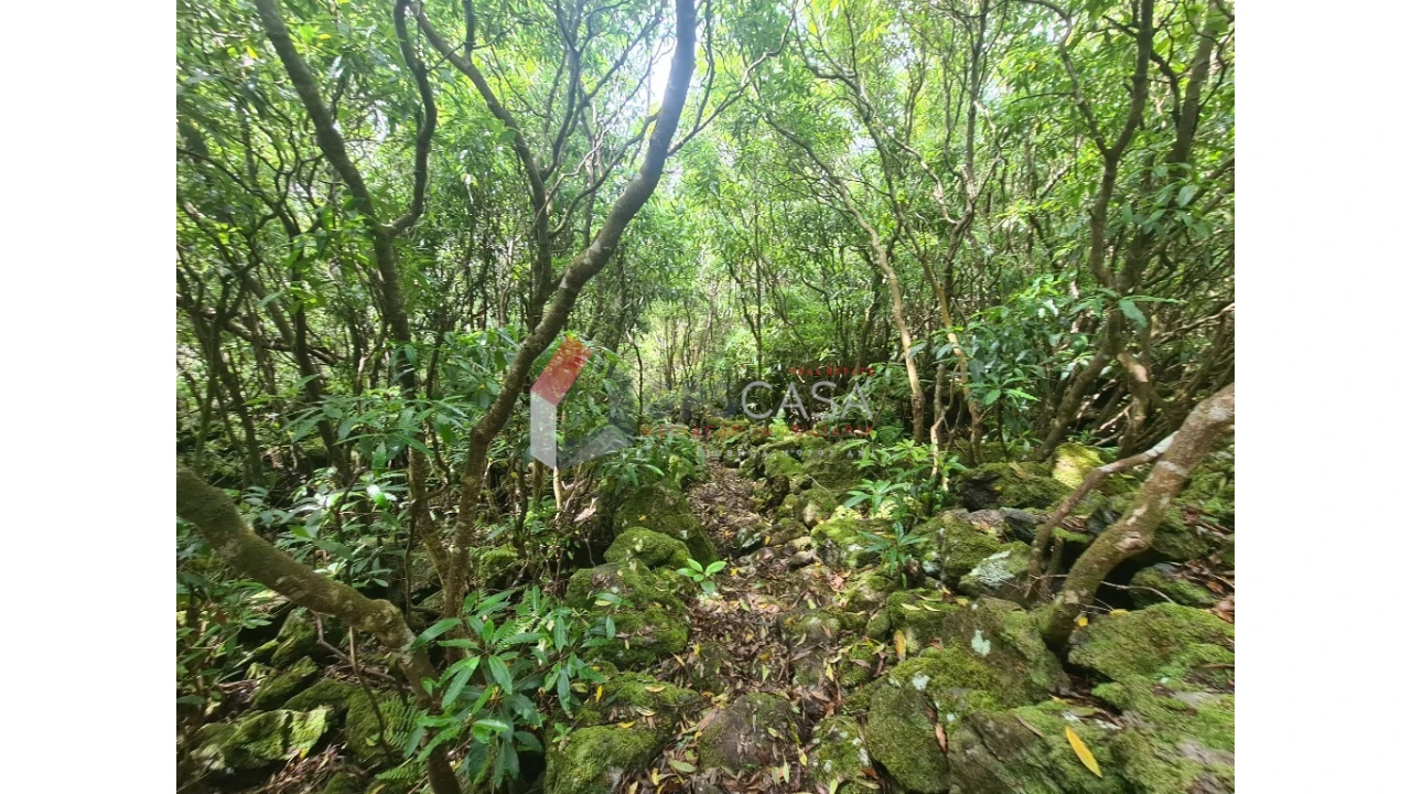 Terreno para Venda em Biscoitos Foto 6