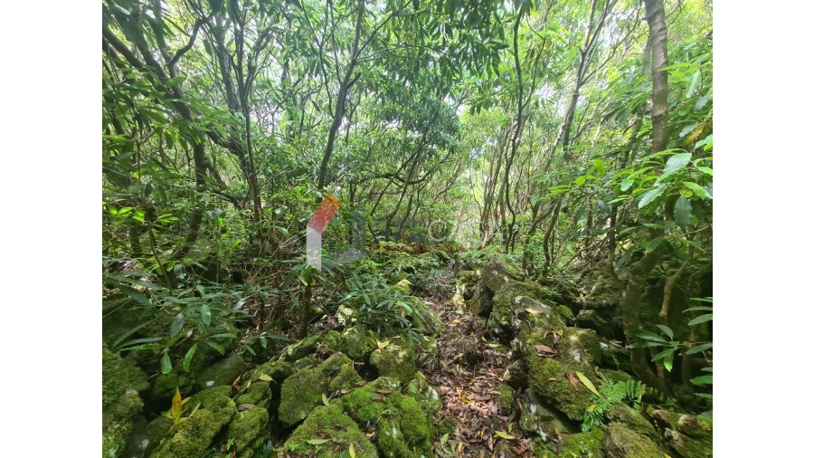 Terreno para Venda em Biscoitos Foto 4