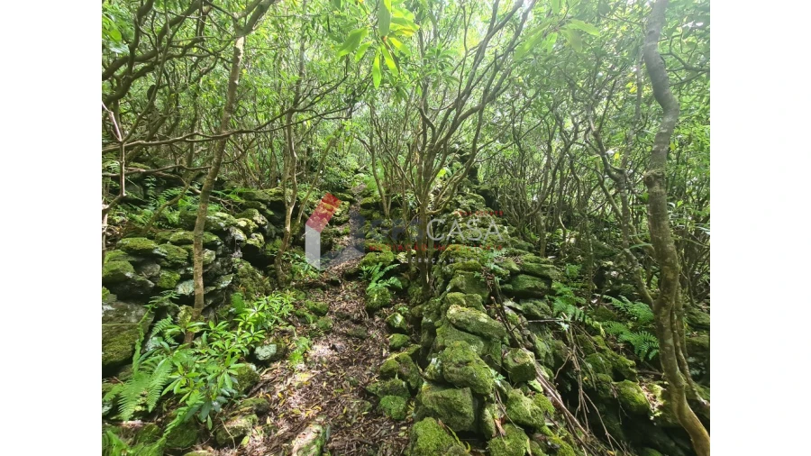 Terreno para Venda em Biscoitos Foto 7