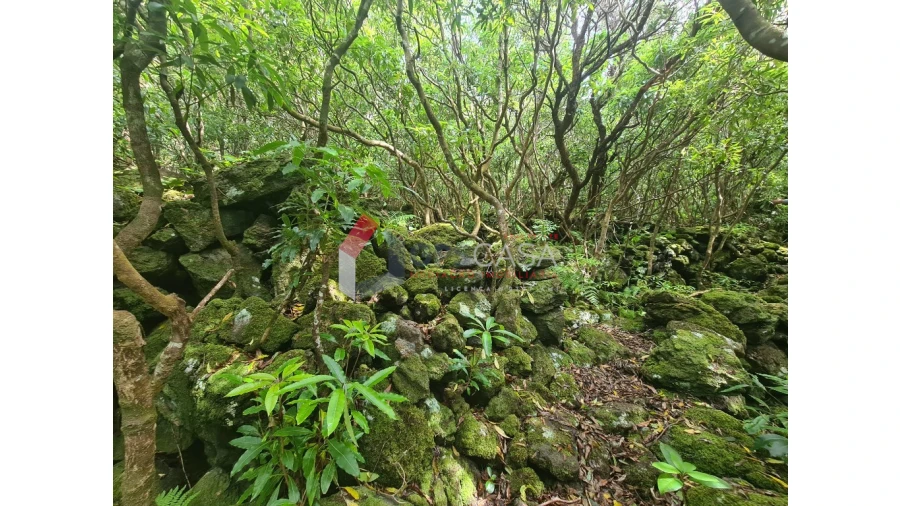 Terreno para Venda em Biscoitos Foto 5