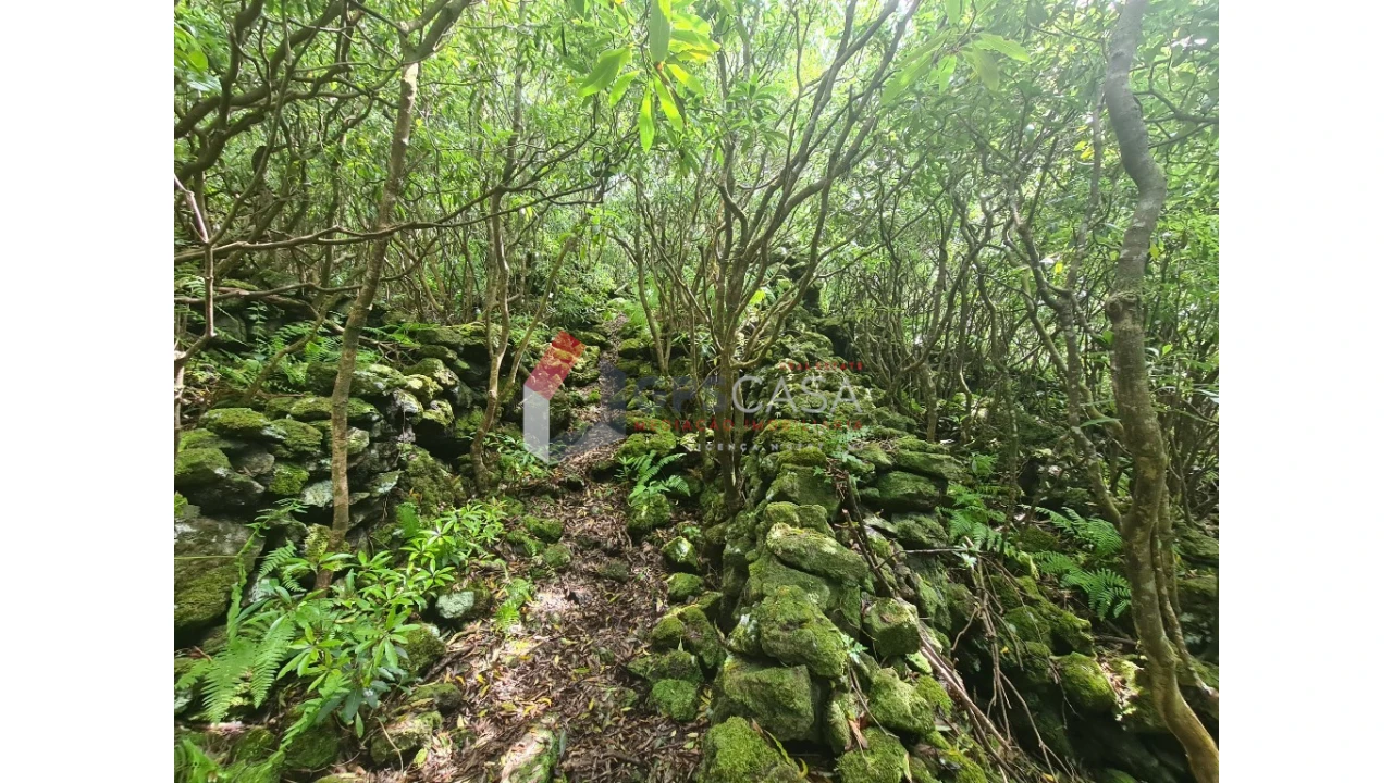Terreno para Venda em Biscoitos Foto 7