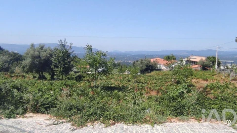 Terreno para Venda em Gandra e Taião