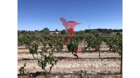 Moradia T7 para Venda em Grândola e Santa Margarida da Serra
