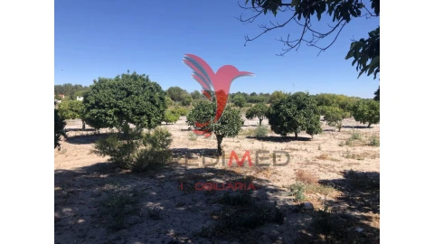 Moradia T7 para Venda em Grândola e Santa Margarida da Serra