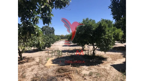 Moradia T7 para Venda em Grândola e Santa Margarida da Serra