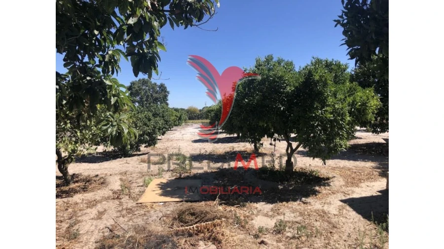Moradia T7 para Venda em Grândola e Santa Margarida da Serra Foto 6