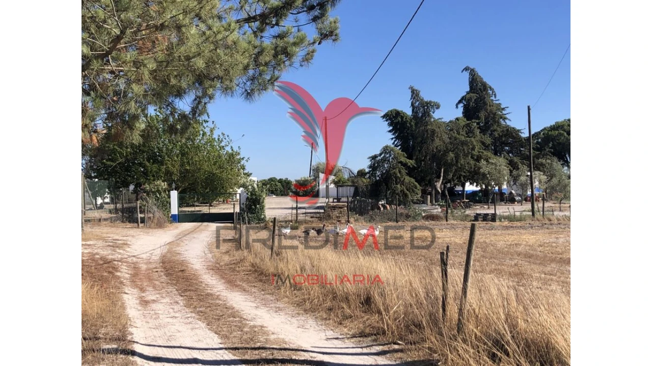 Moradia T7 para Venda em Grândola e Santa Margarida da Serra Foto 3