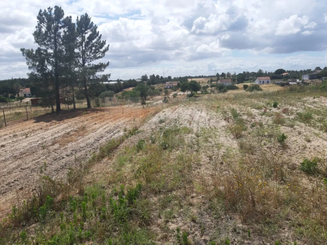 Terreno para Venda em Benavente Foto 3